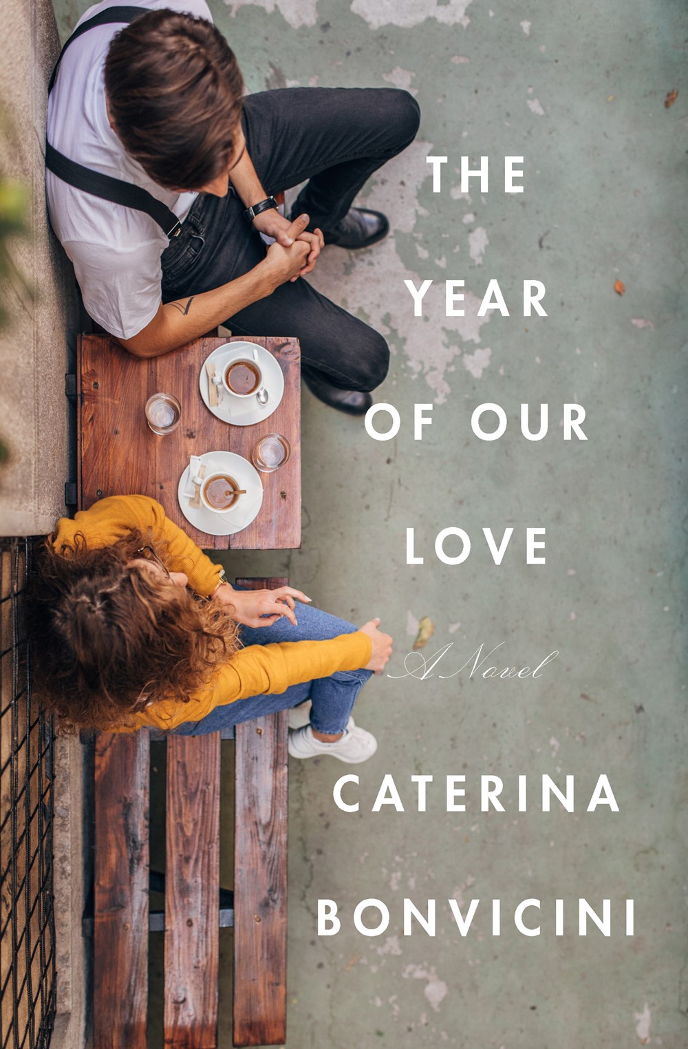 The Year of Our Love book cover