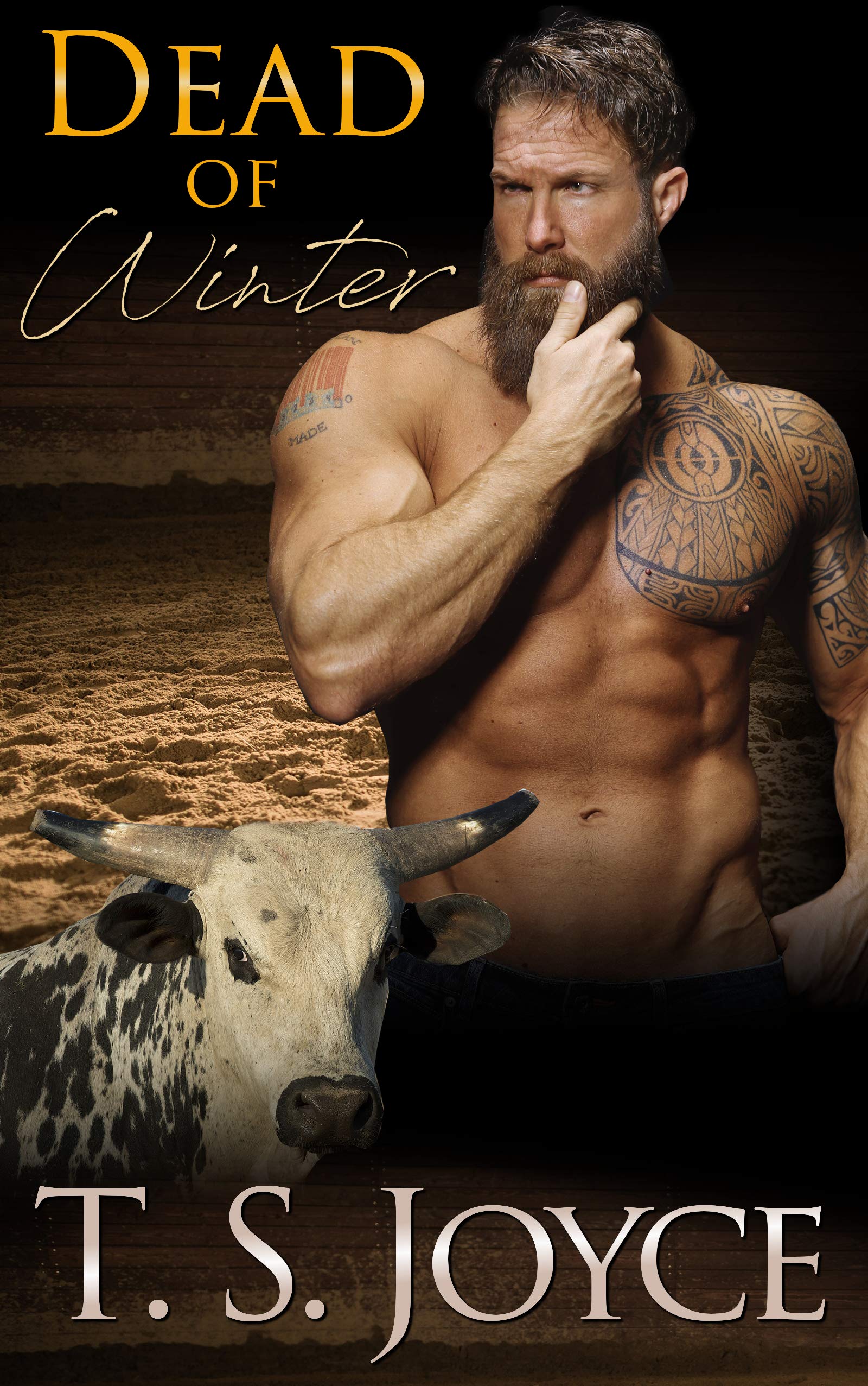 Battle of the Bulls book cover 2