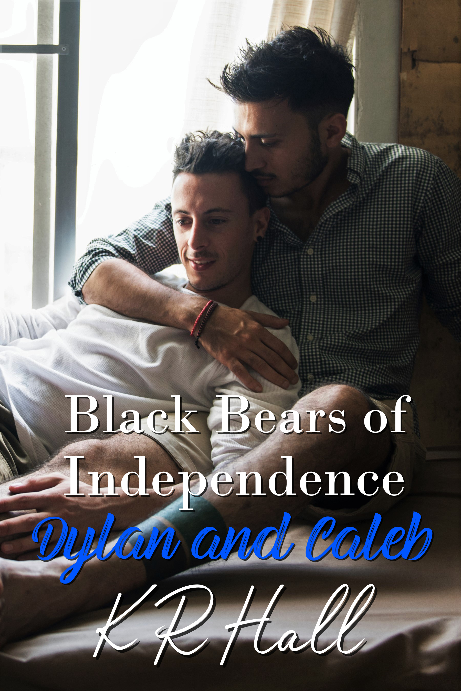 Black Bears of Independence book cover