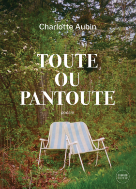 Toute ou pantoute book cover