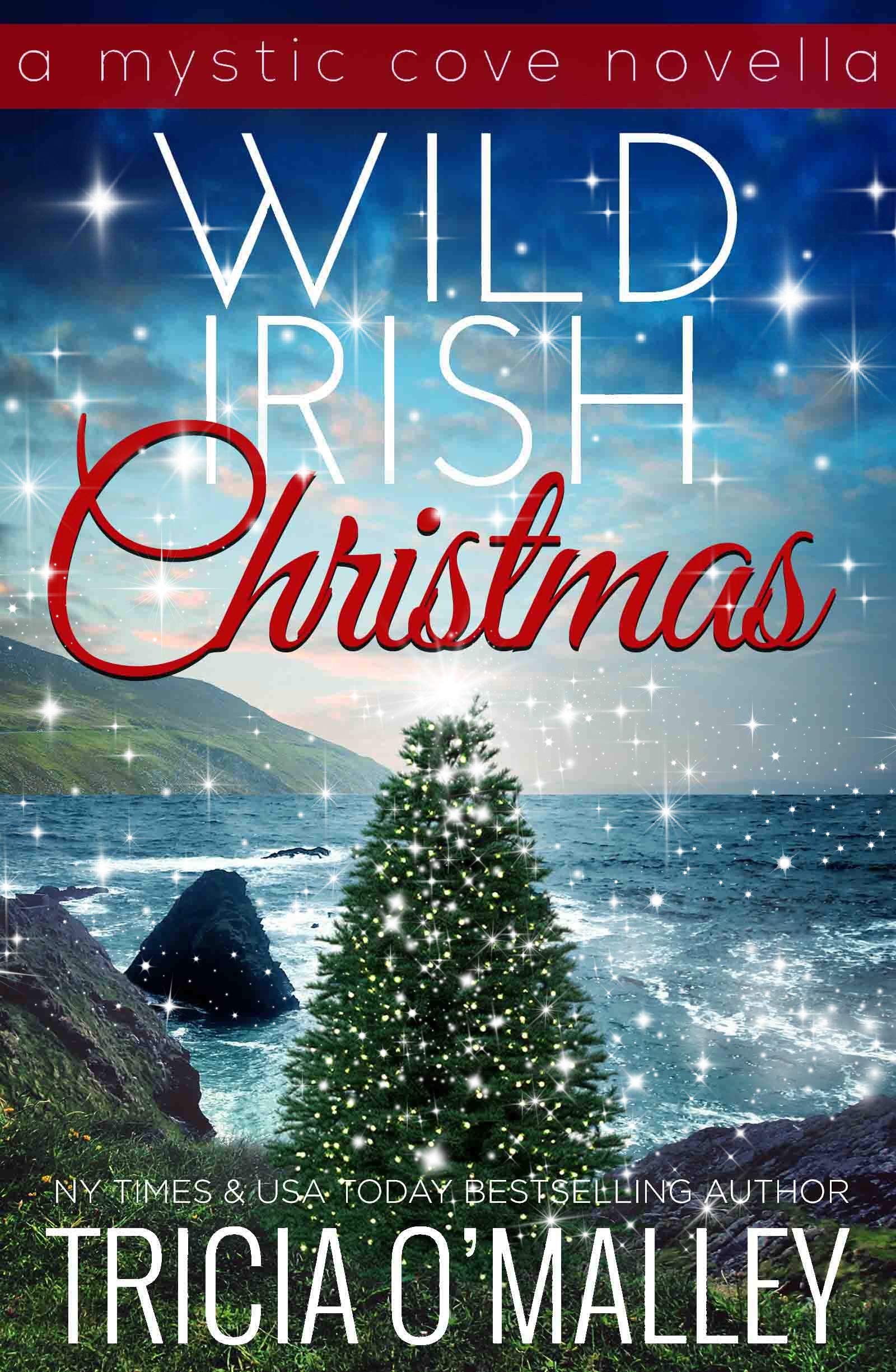 Wild Irish Christmas book cover