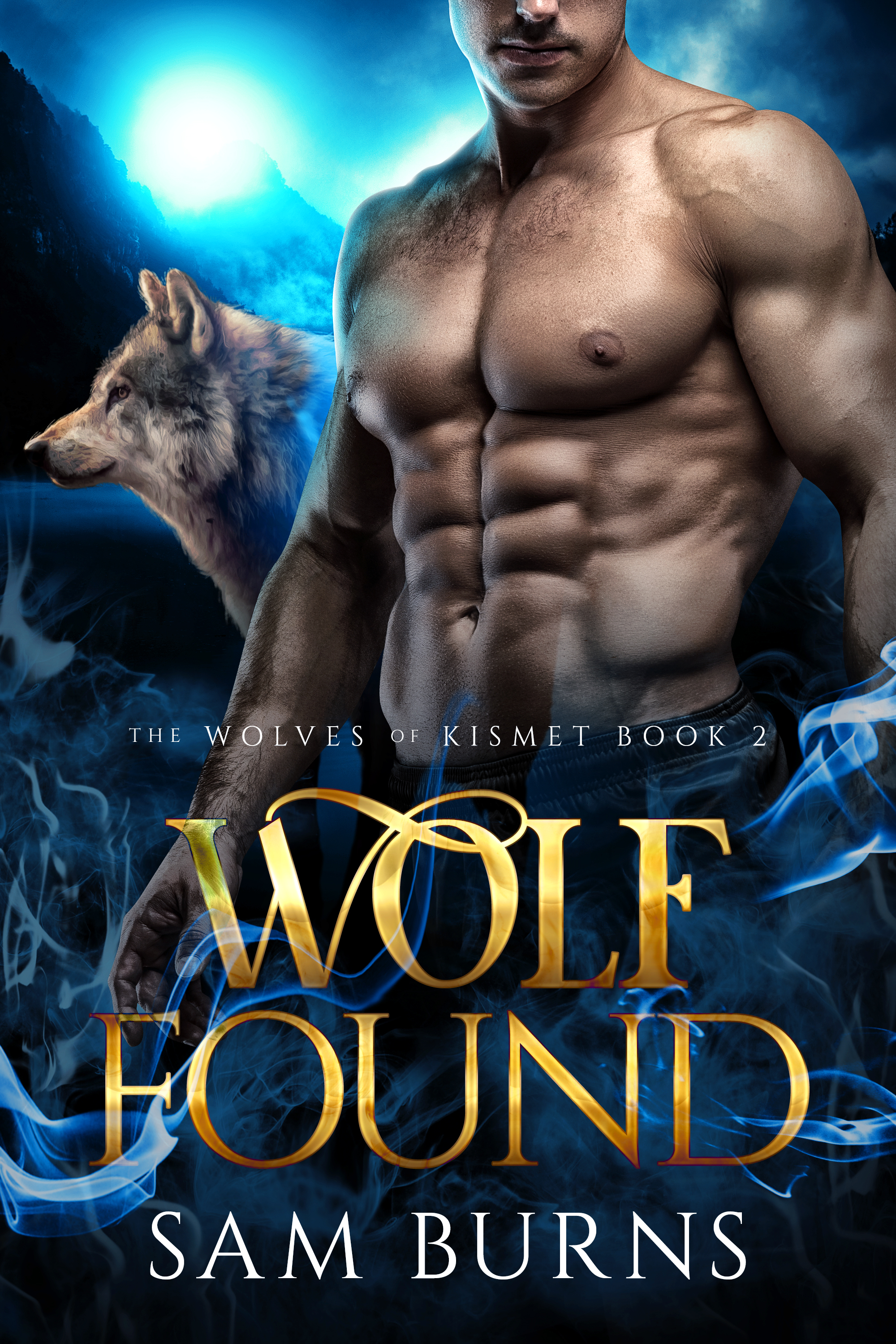 The Wolves of Kismet book cover 2
