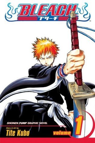 Bleach book cover 1