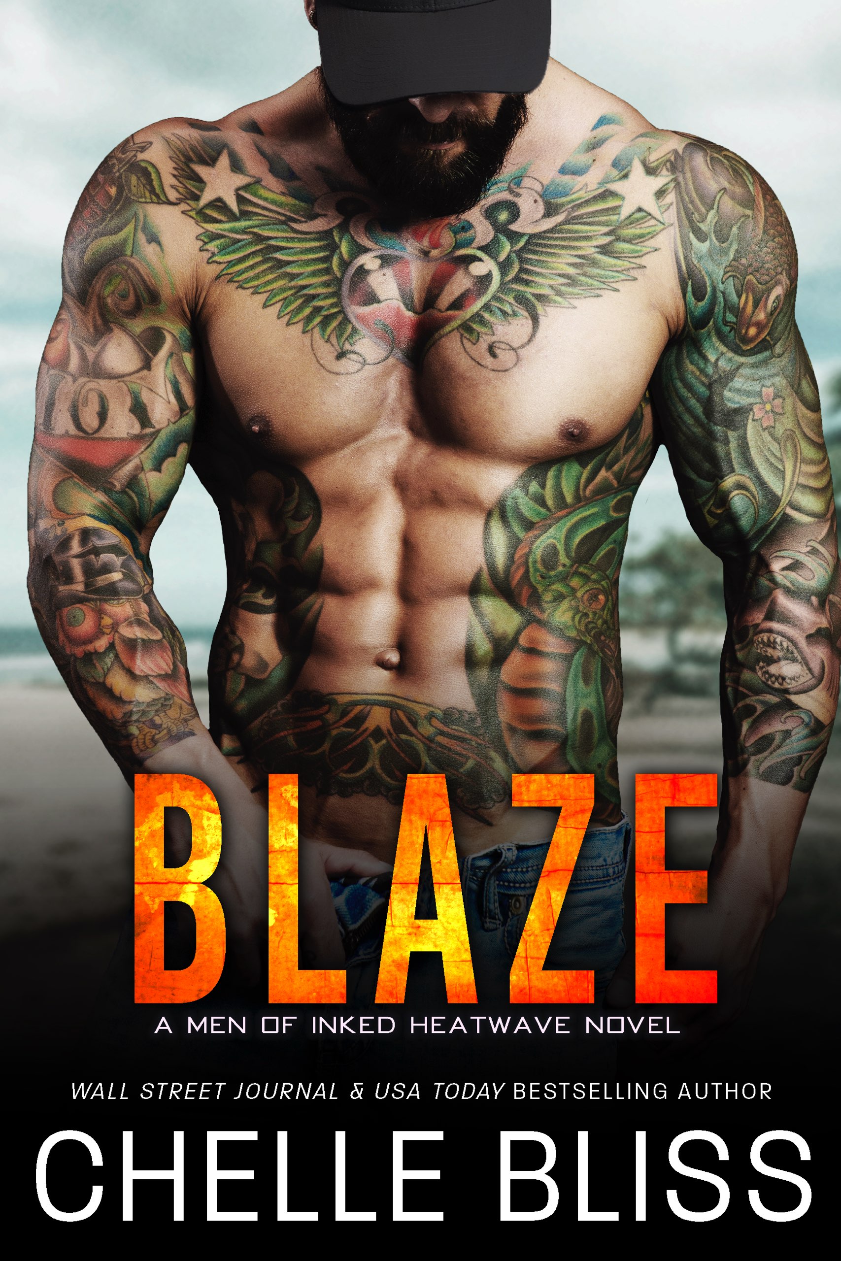 Blaze book cover