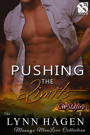 Wildfire book cover 3