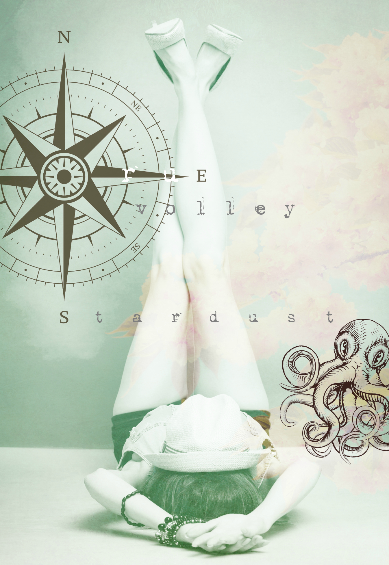 Stardust book cover