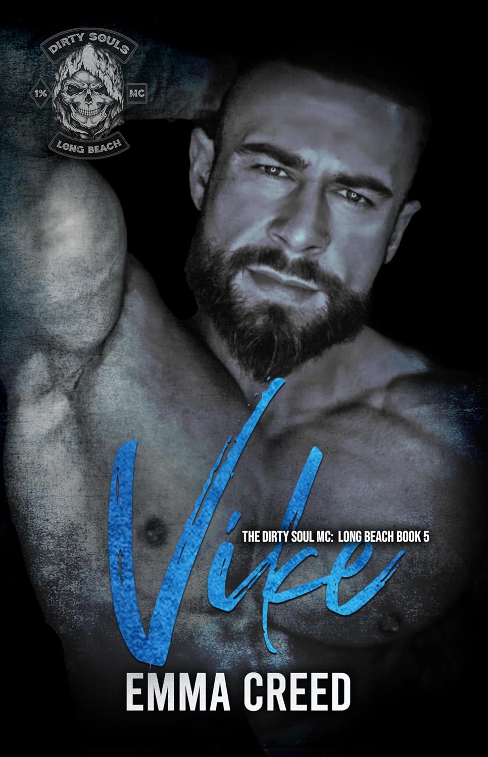 Vike book cover