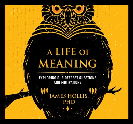 A Life of Meaning book cover
