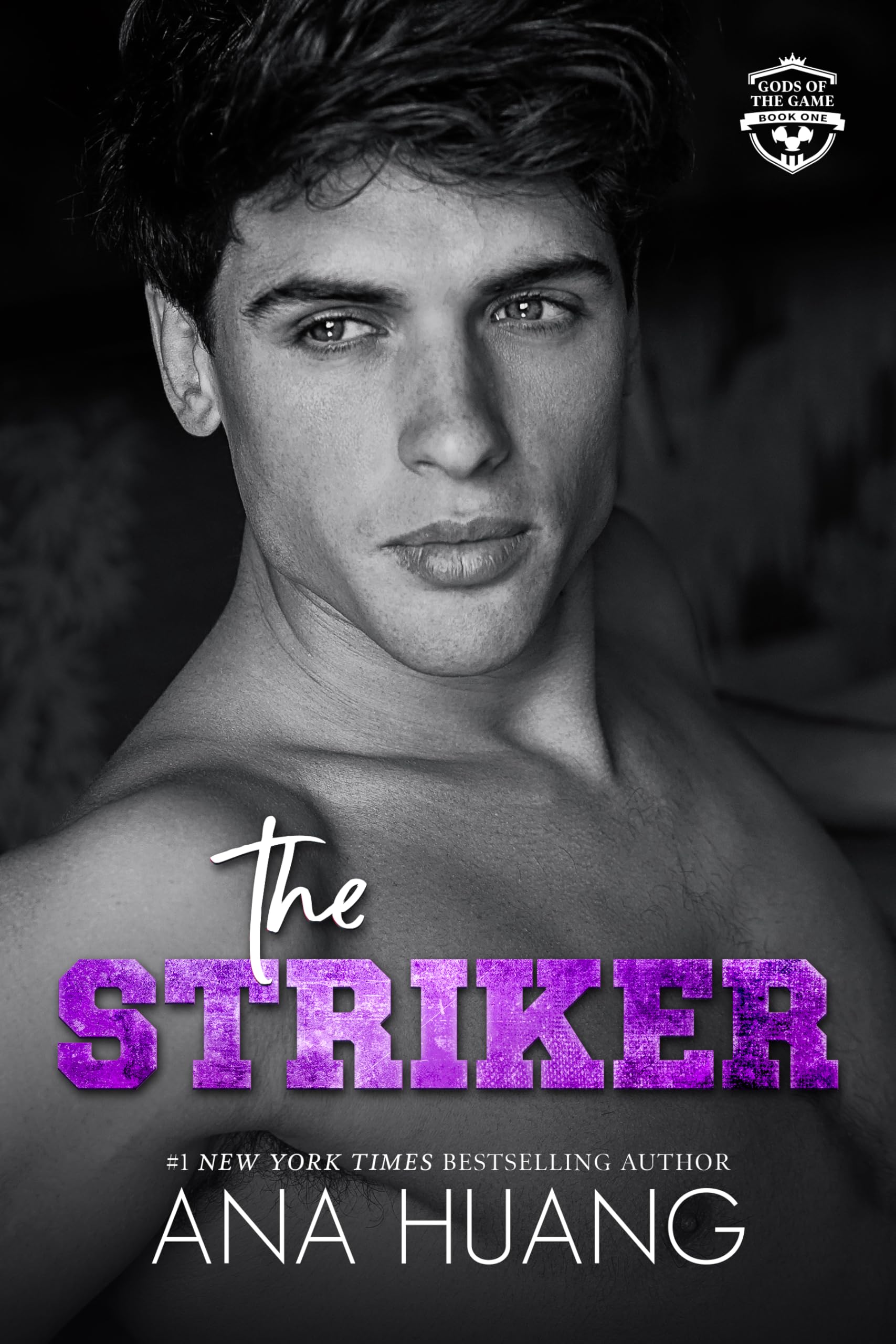 The Striker book cover