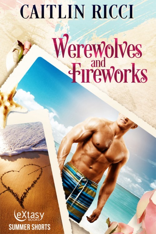 Werewolves and Fireworks book cover