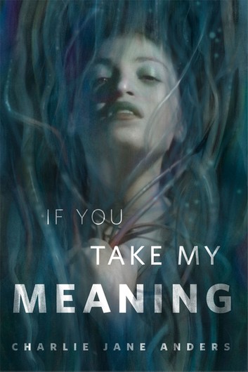 If You Take My Meaning book cover