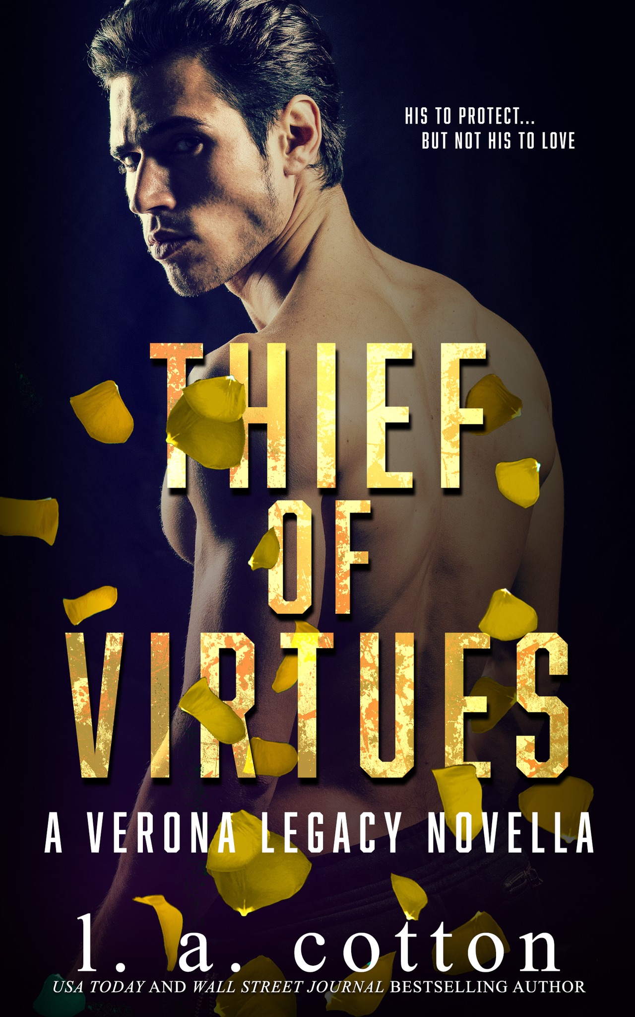Thief of Virtues book cover