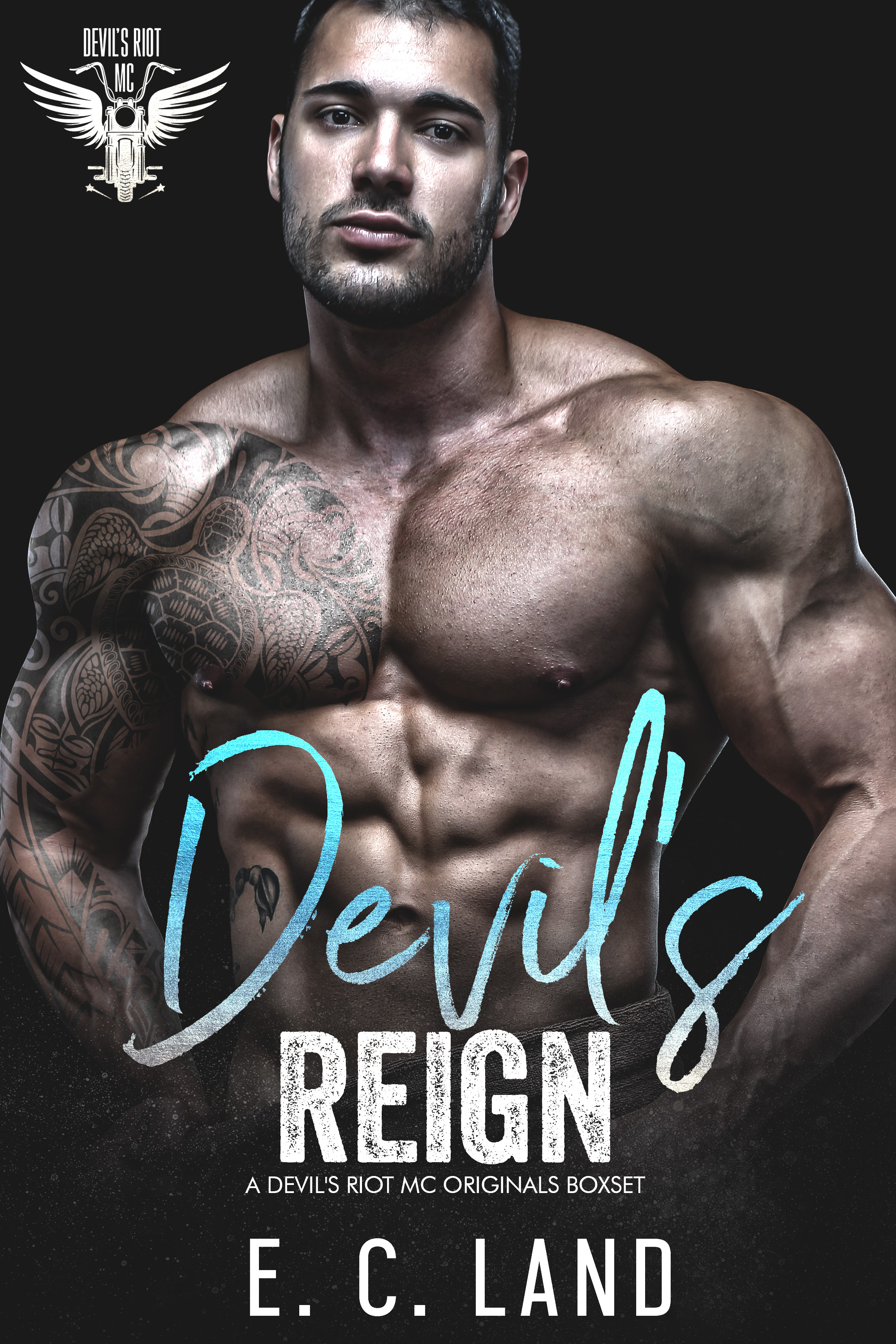 Devil's Reign book cover