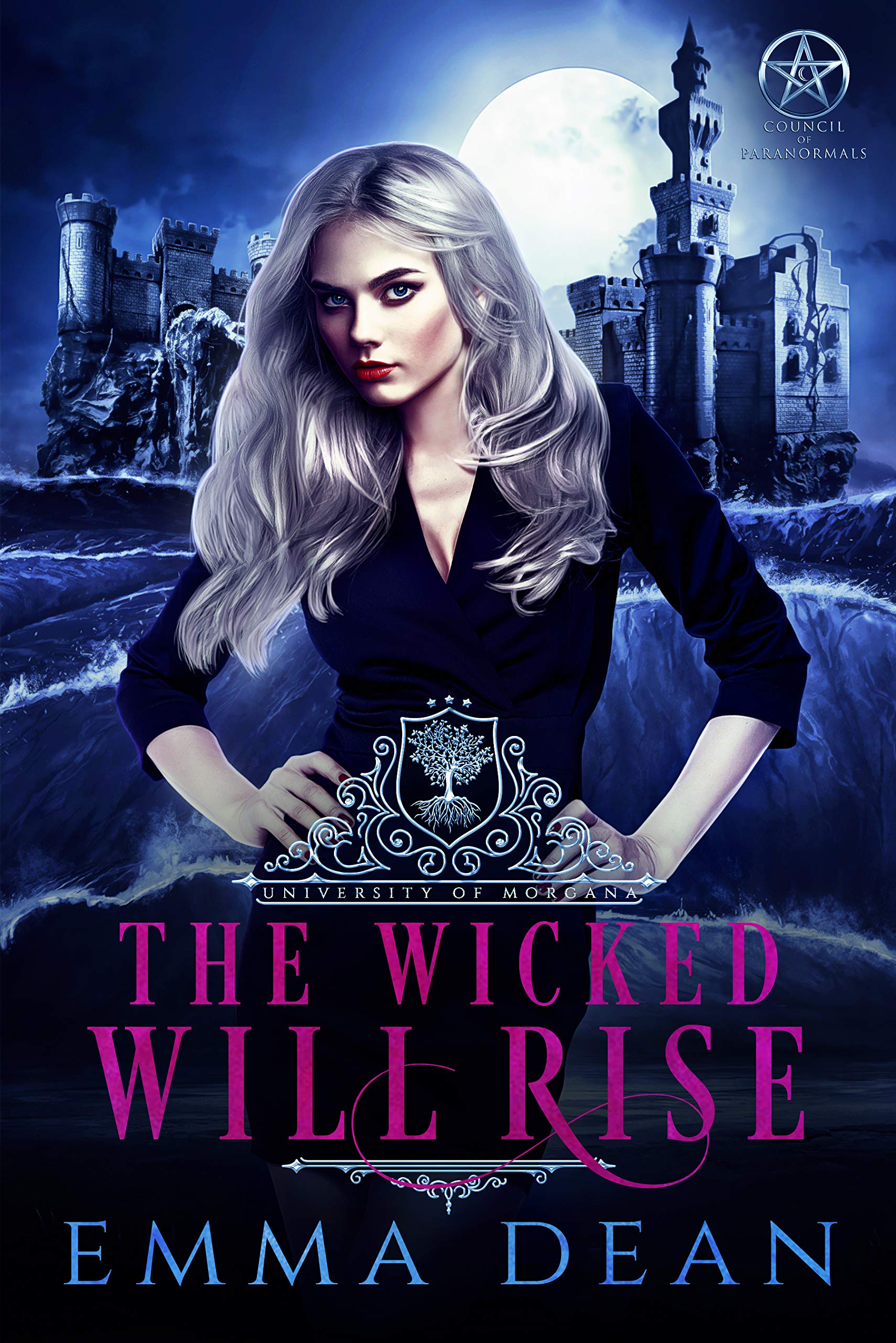 The Wicked Will Rise book cover