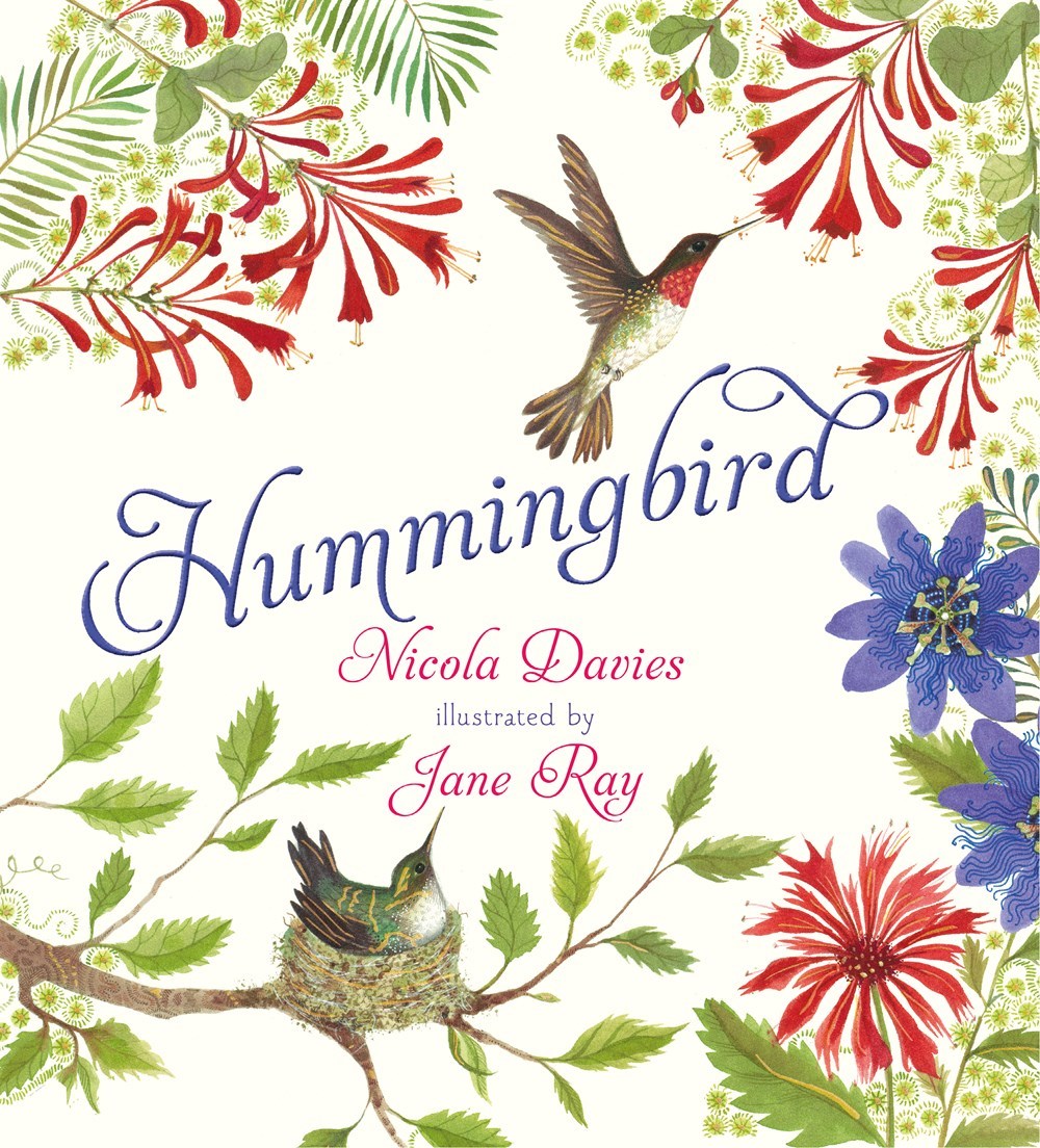 Hummingbird book cover