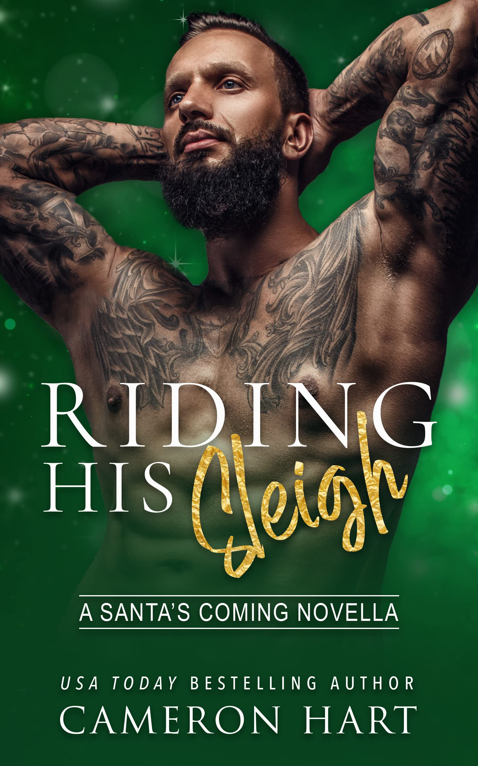 Riding His Sleigh book cover