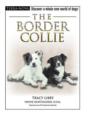 The Border Collie book cover