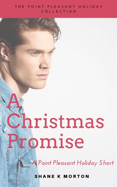 A Christmas Promise book cover