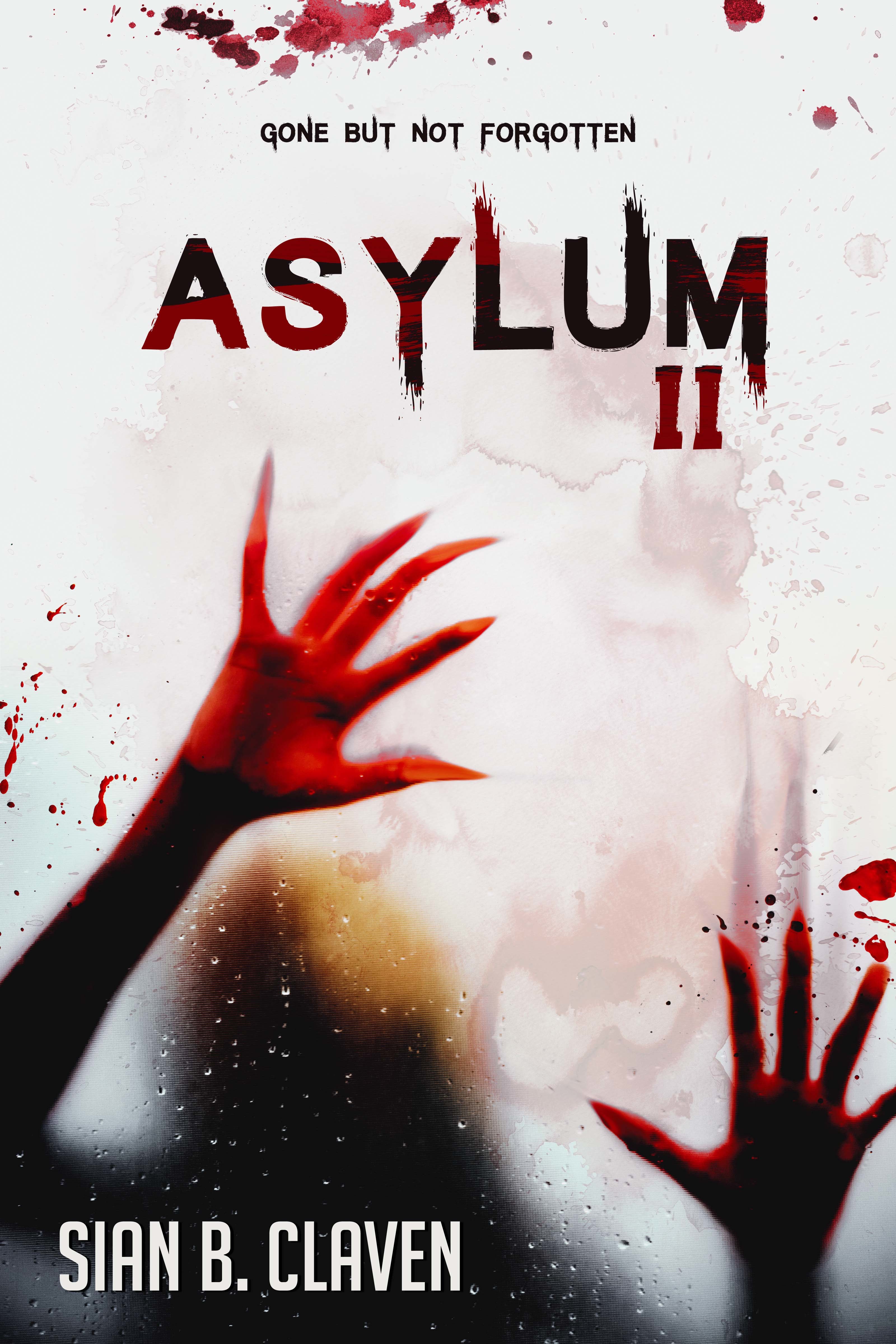 Asylum book cover 2