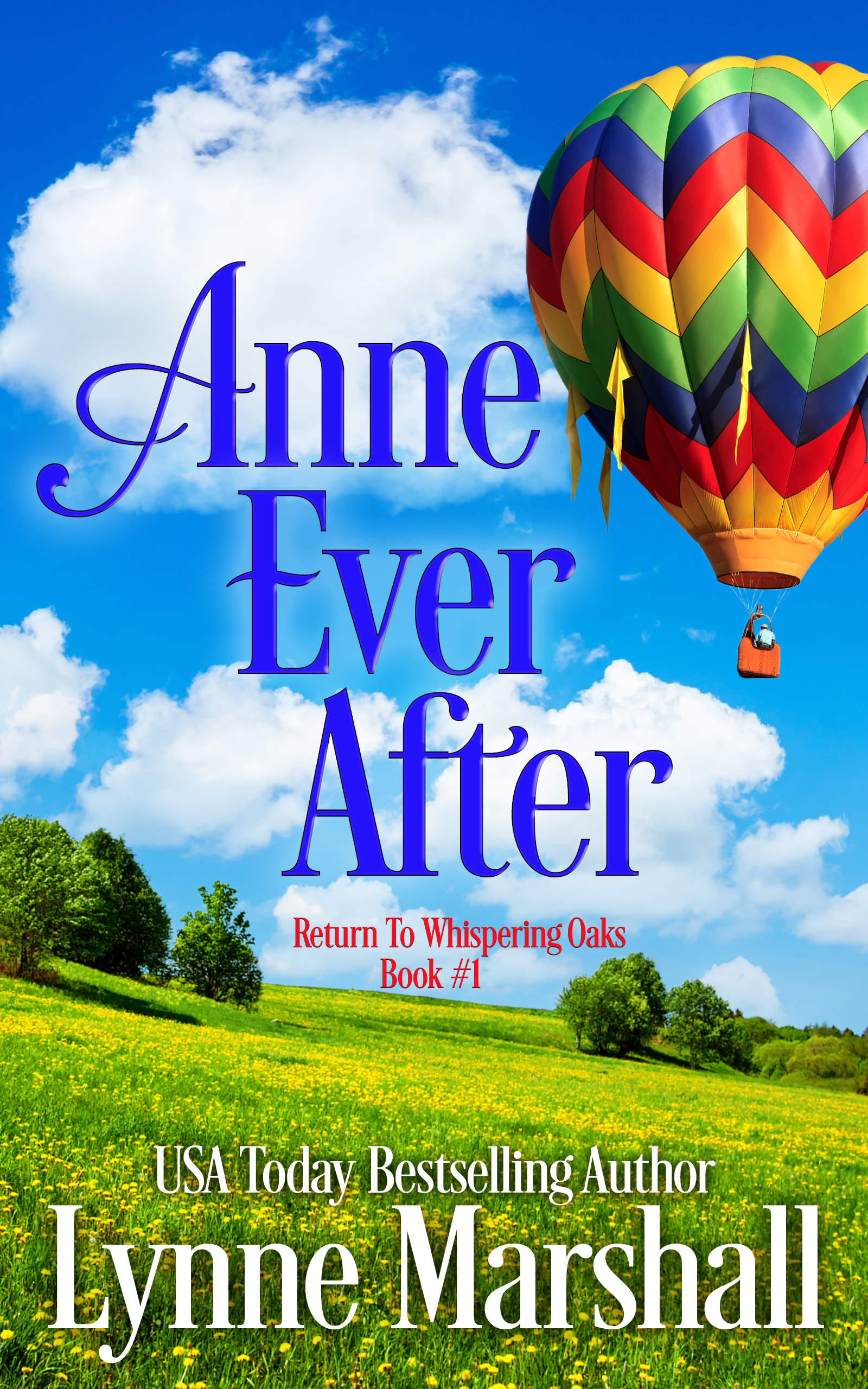 Anne Ever After book cover