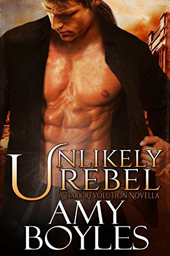 Dark Revolution book cover 1