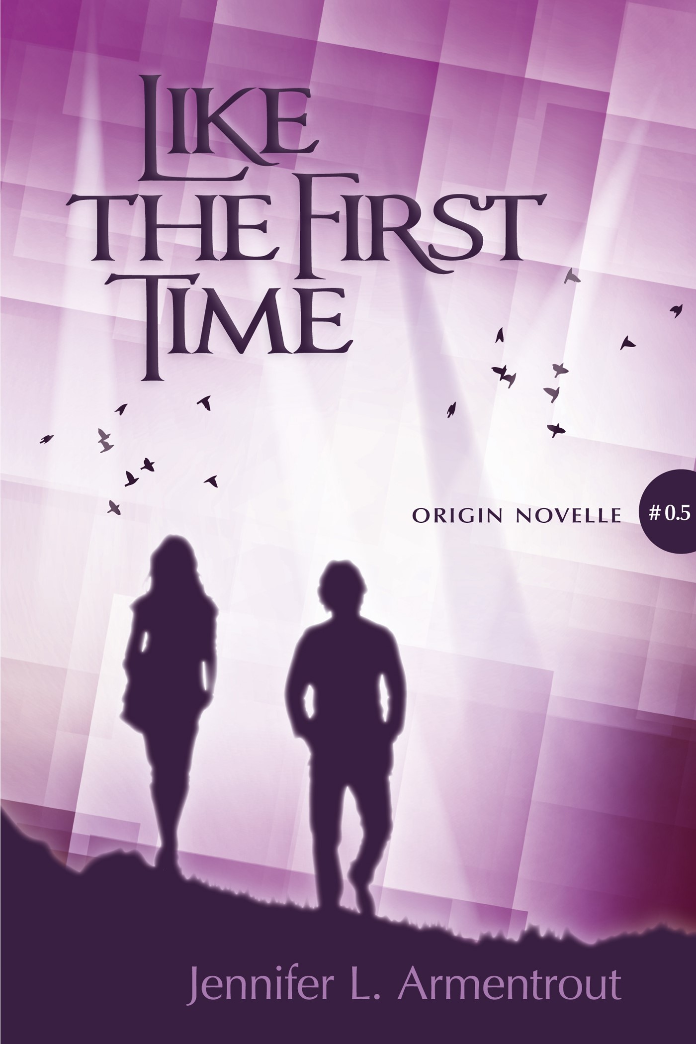 Like the First Time book cover