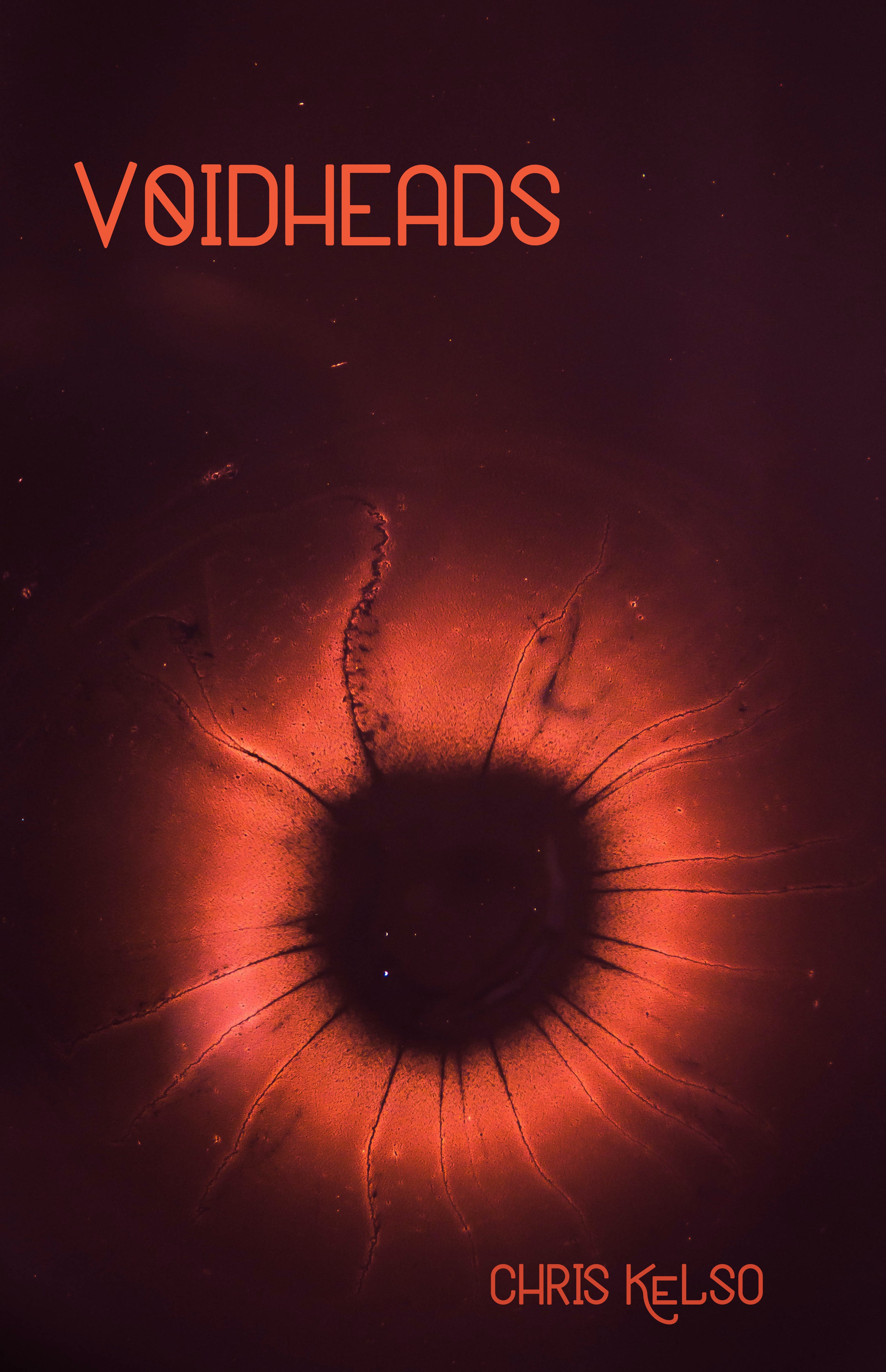 Voidheads book cover