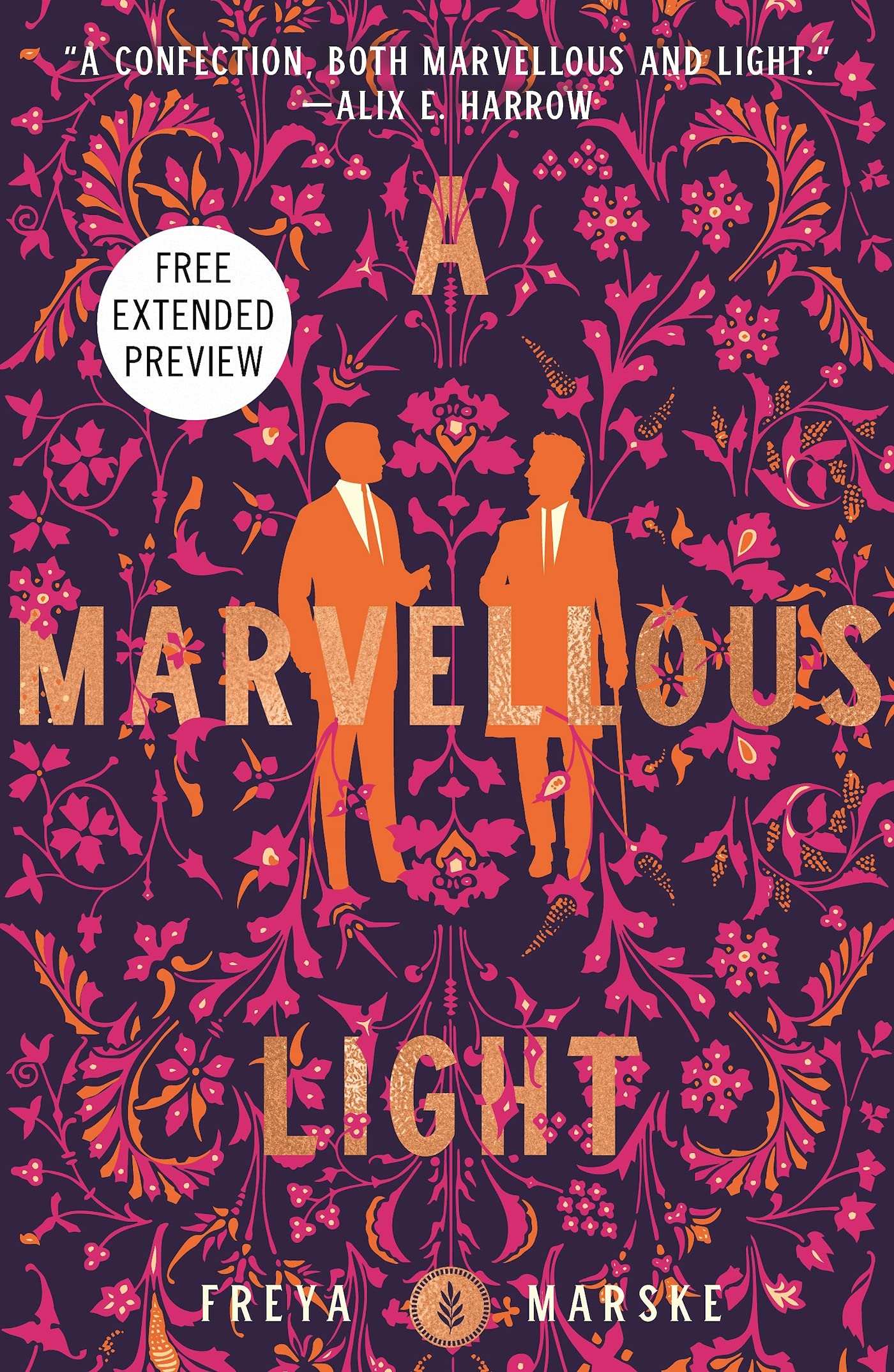 A Marvellous Light Sneak Peek book cover