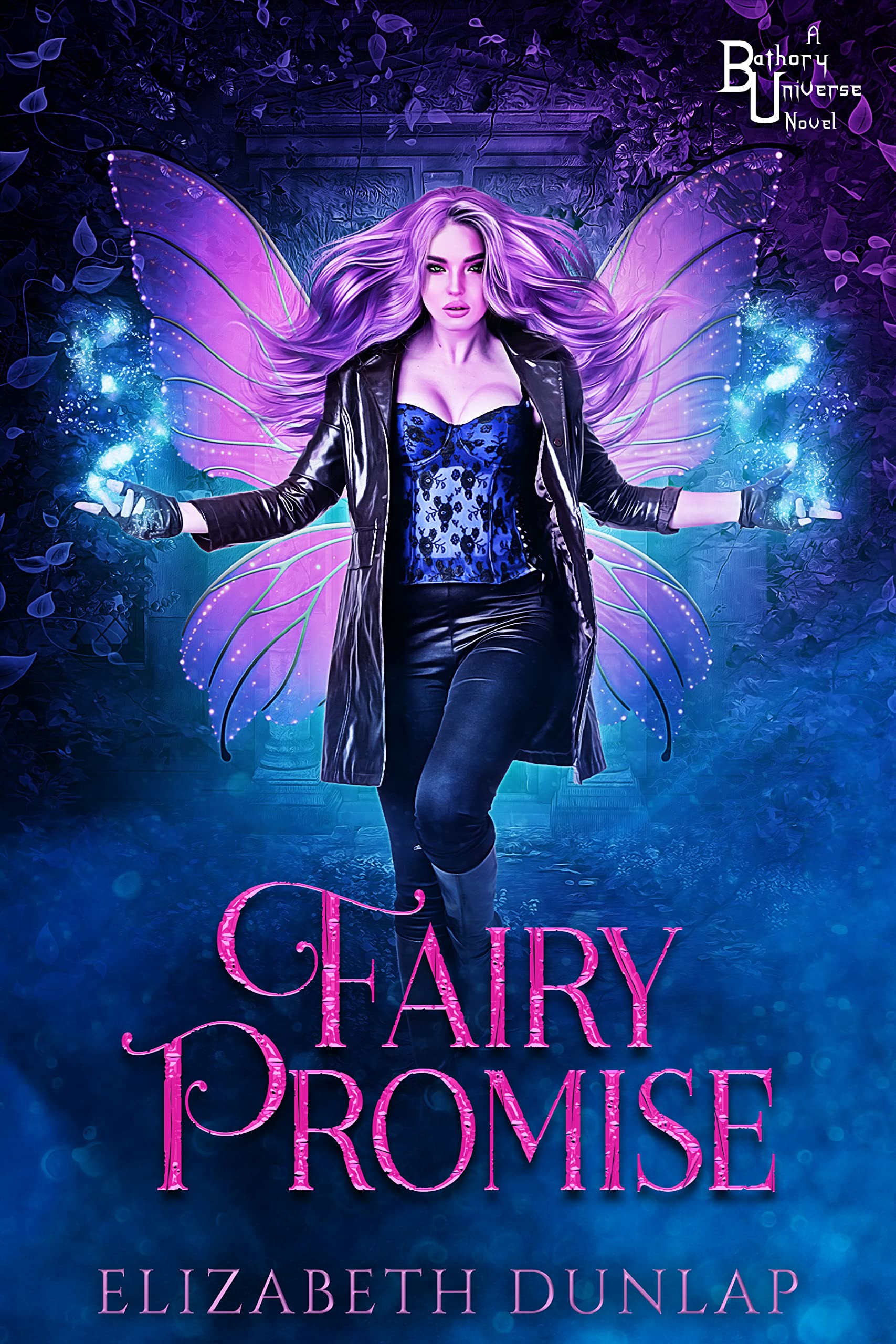 Fairy Promise book cover