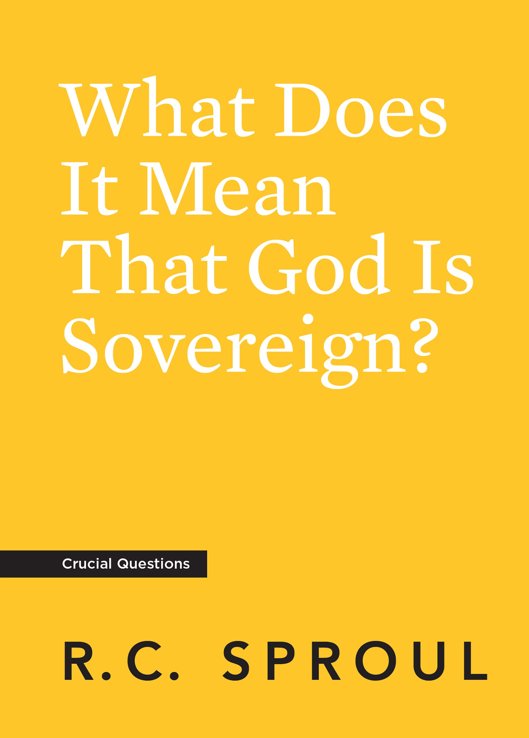 What Does It Mean That God Is Sovereign? book cover