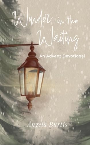 Wonder in the Waiting book cover