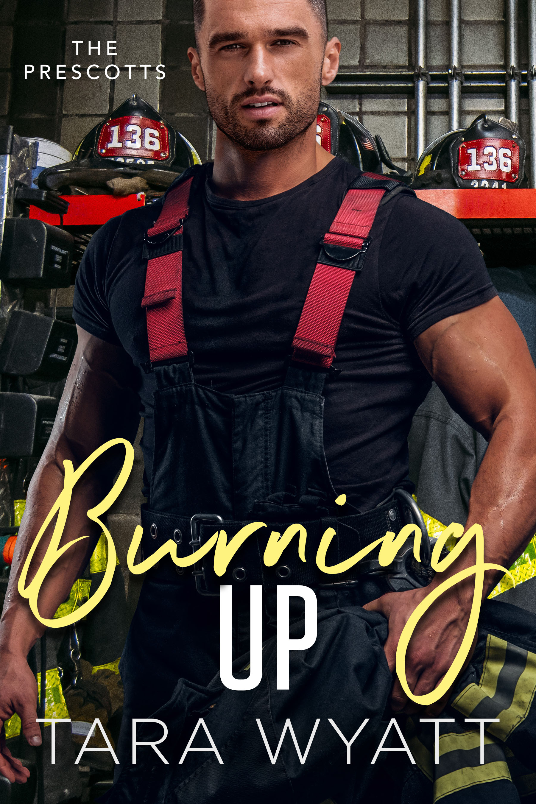 Burning Up book cover