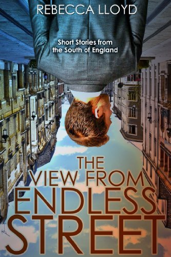 The View from Endless Street book cover