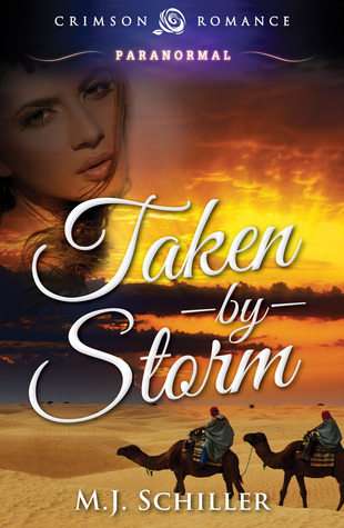 Taken by Storm book cover
