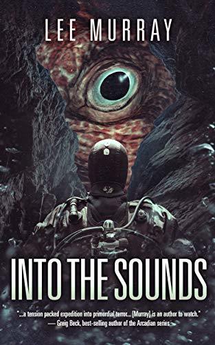 Into The Sounds book cover
