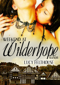 Weekend at Wilderhope Manor book cover