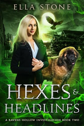 Ravens Hollow Investigations book cover 2