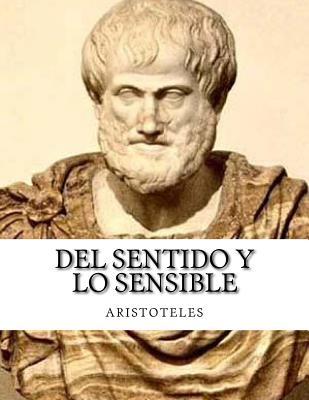 Del Sentido y Lo Sensible book cover