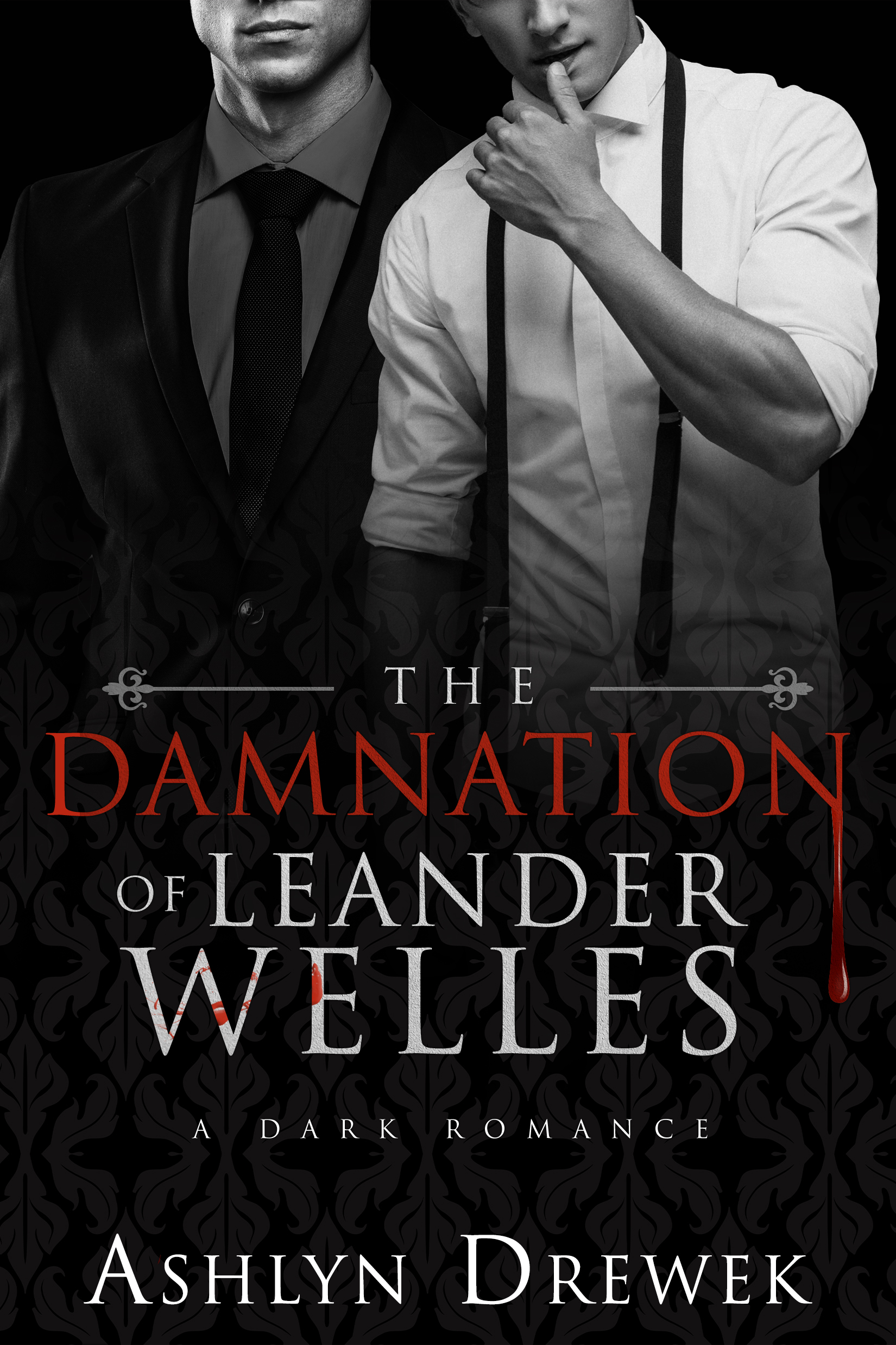 The Leander Welles Series book cover 3