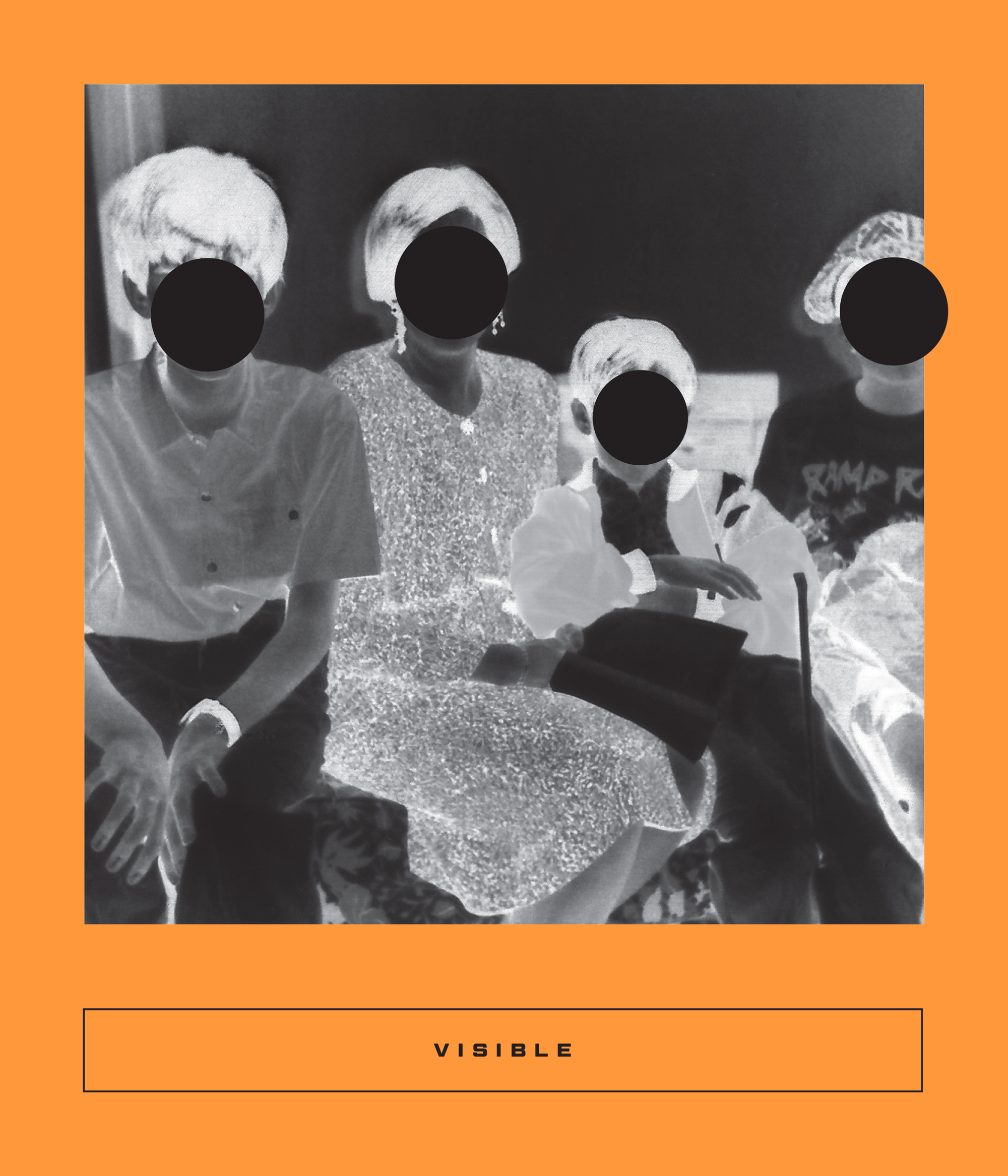 Calico Series book cover 2
