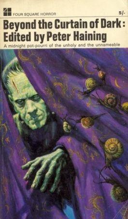 Beyond the Curtain of Dark book cover