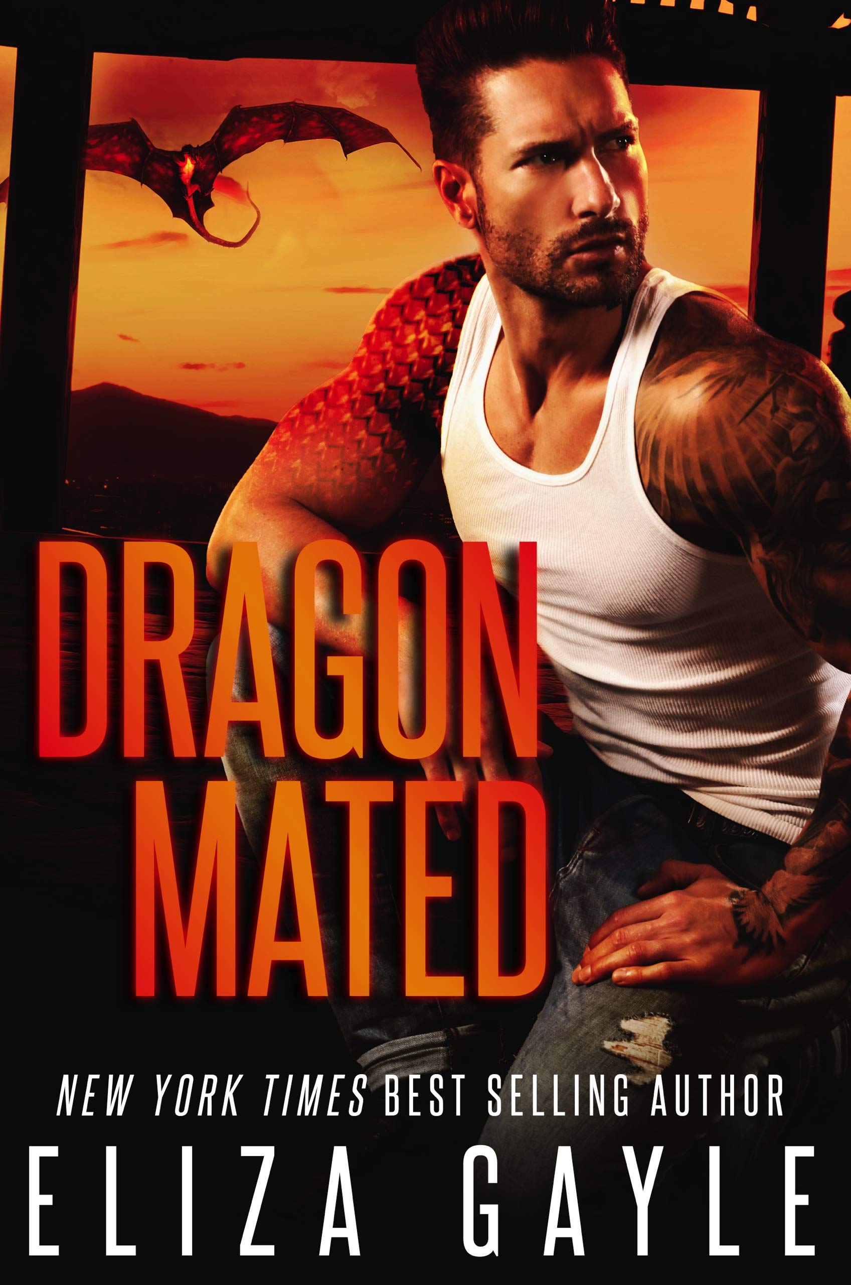 The Enigma Shifters book cover 1