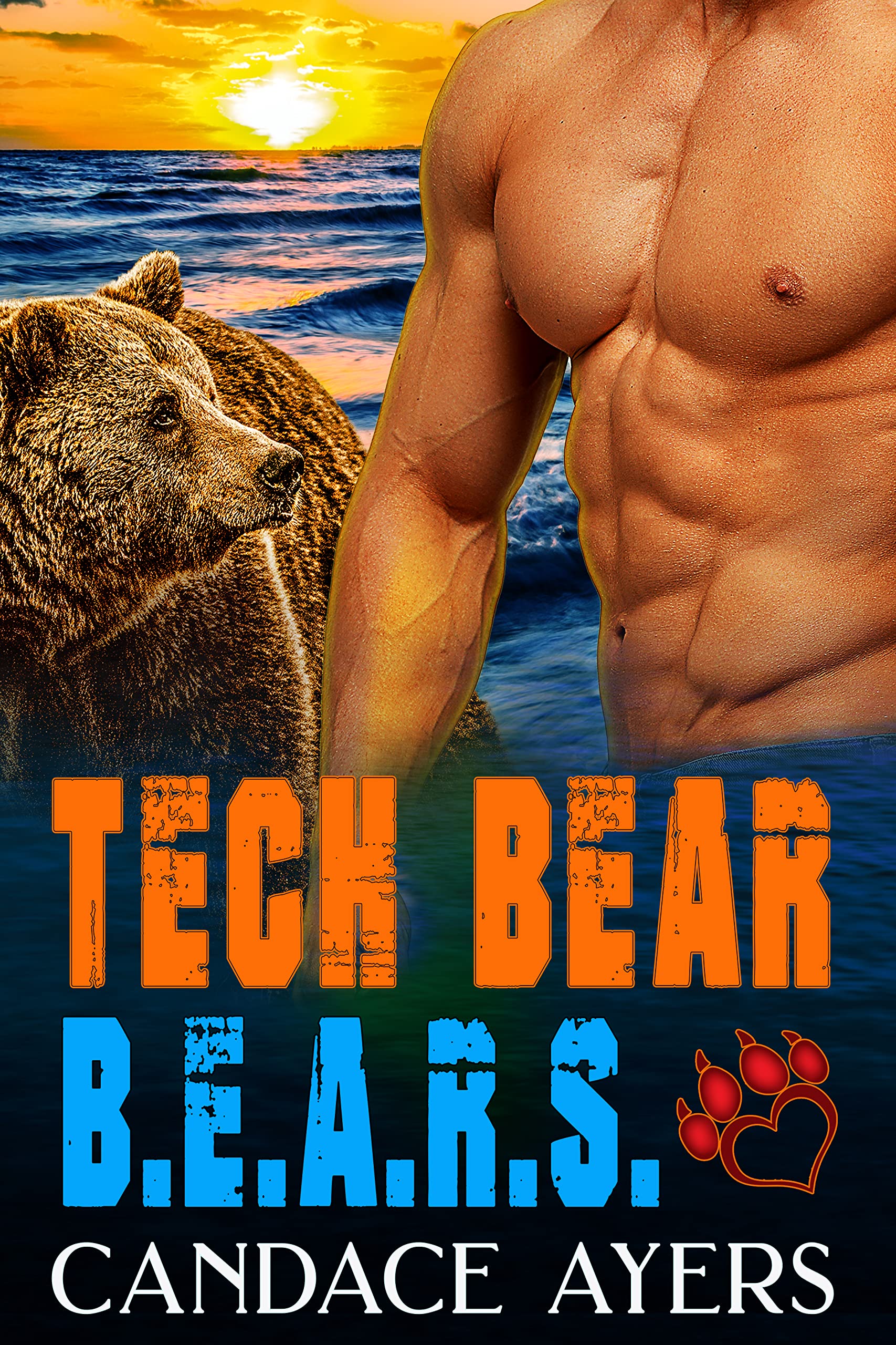 B.E.A.R.S. book cover 3