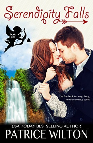 Serendipity Falls book cover 1