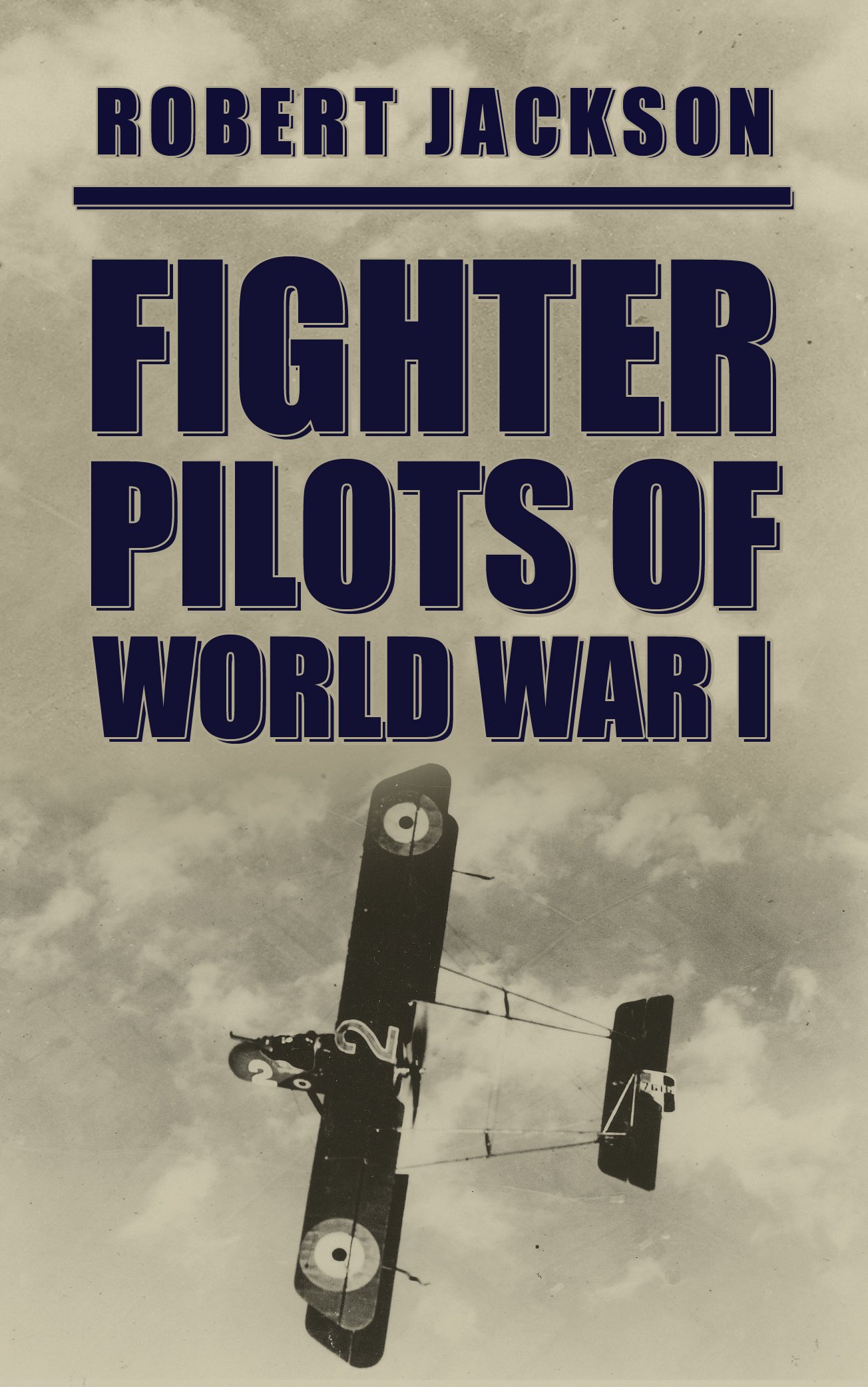 Fighter Pilots of World War I book cover