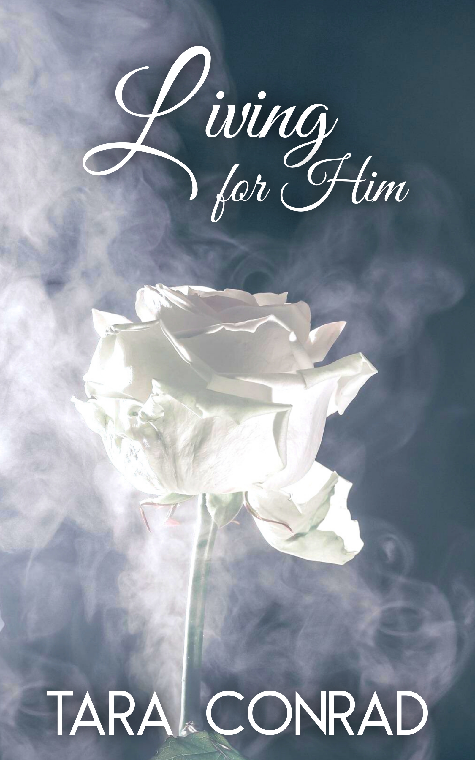 Fire and Ice book cover 3