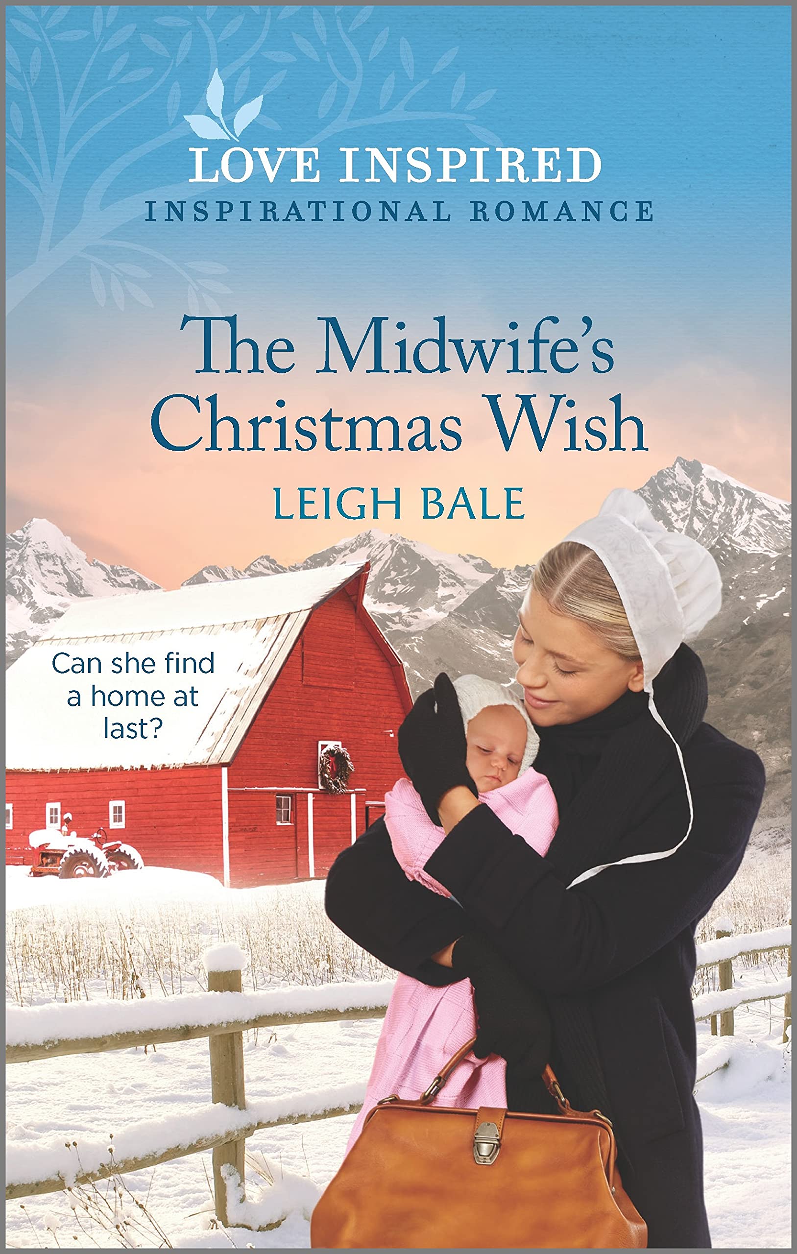 Secret Amish Babies book cover 1
