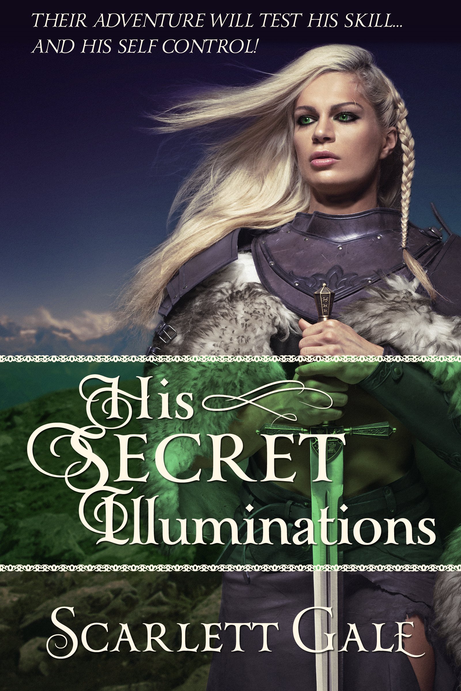 The Warrior's Guild book cover 1