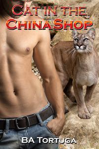 Cat in the China Shop book cover