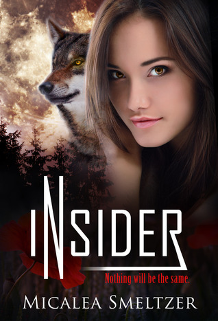 Outsider book cover 2